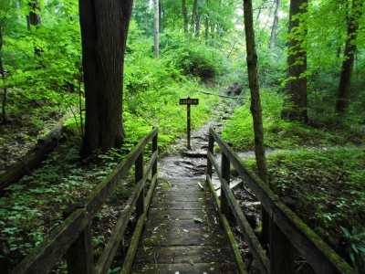 Stewardship opportunities